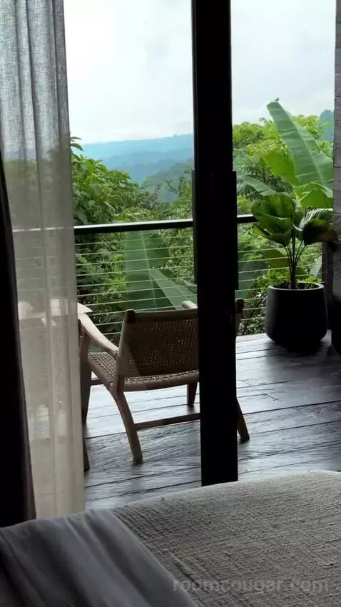 Suite view picture #5