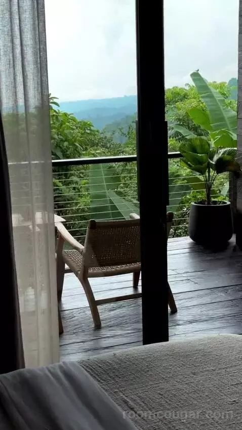 Suite view picture #6