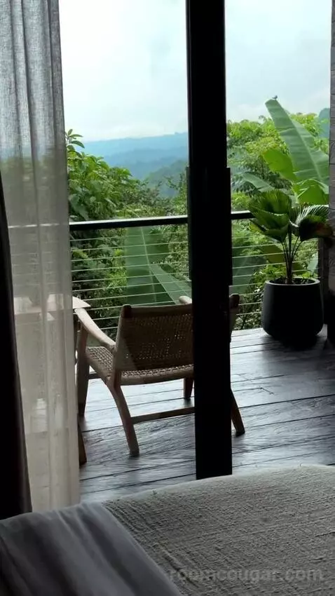 Suite view picture #8