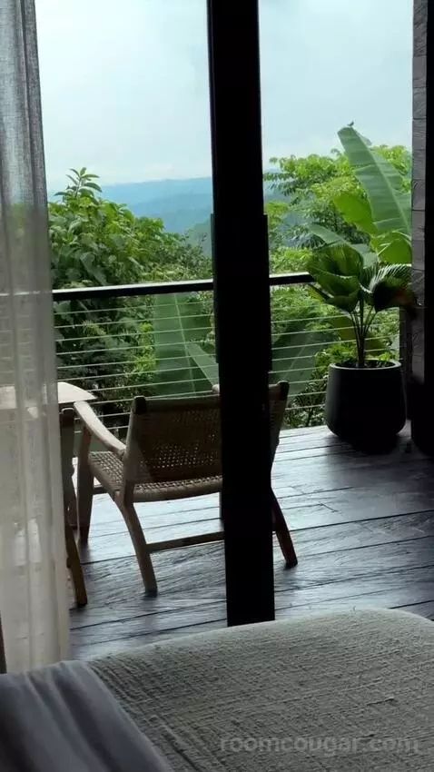 Suite view picture #9