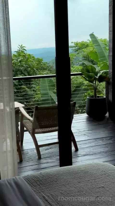 Suite view picture #10
