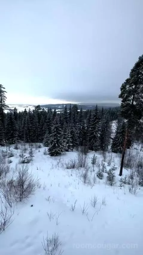 Standard view picture #2
