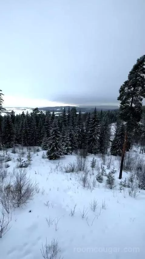 Standard view picture #3