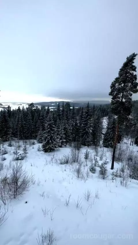 Standard view picture #4
