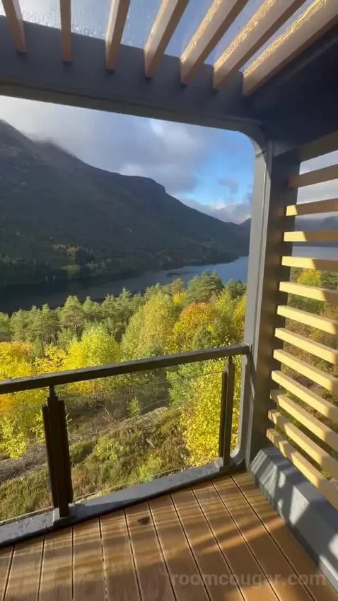 Suite view picture #7