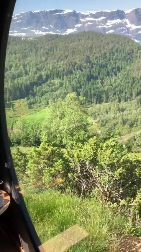 Standard view picture #2