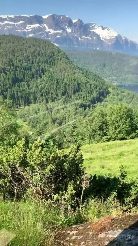 Standard view picture #3