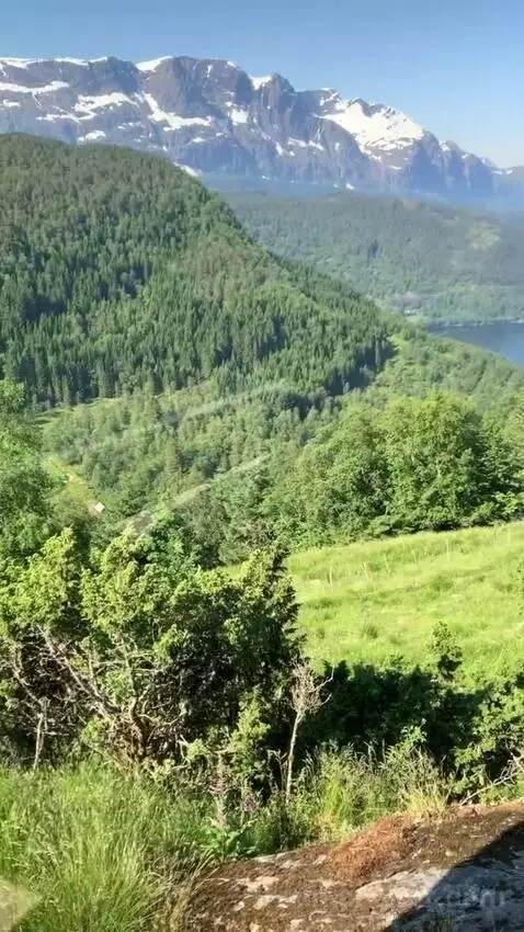 Standard view picture #4