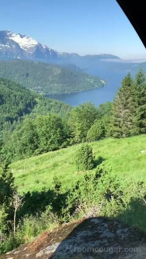 Standard view picture #5