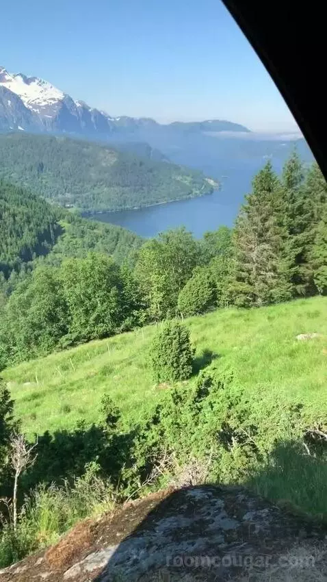 Standard view picture #6