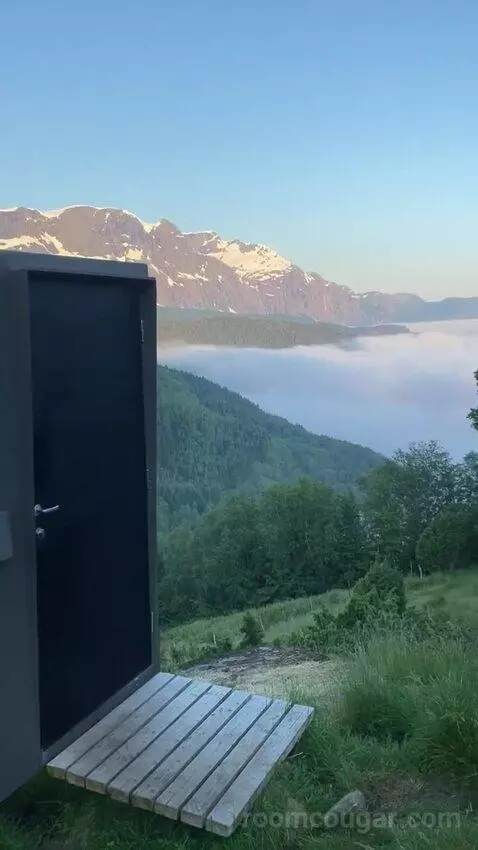 Standard view picture #10