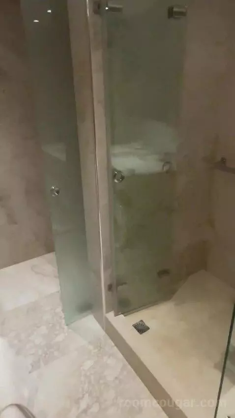 Superior Suite bathroom picture #3
