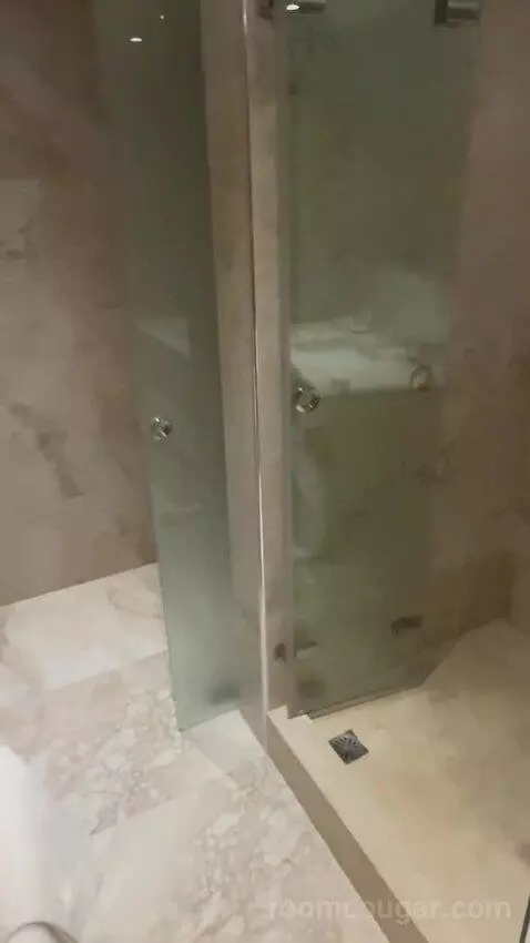 Superior Suite bathroom picture #4