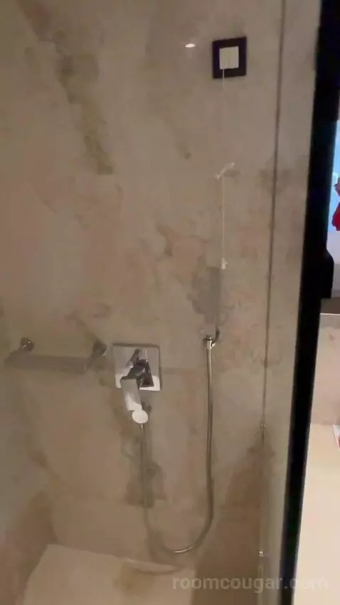Superior Suite bathroom picture #10