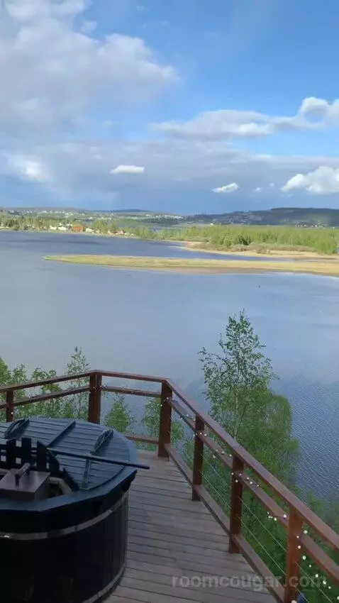 Standard view picture #9