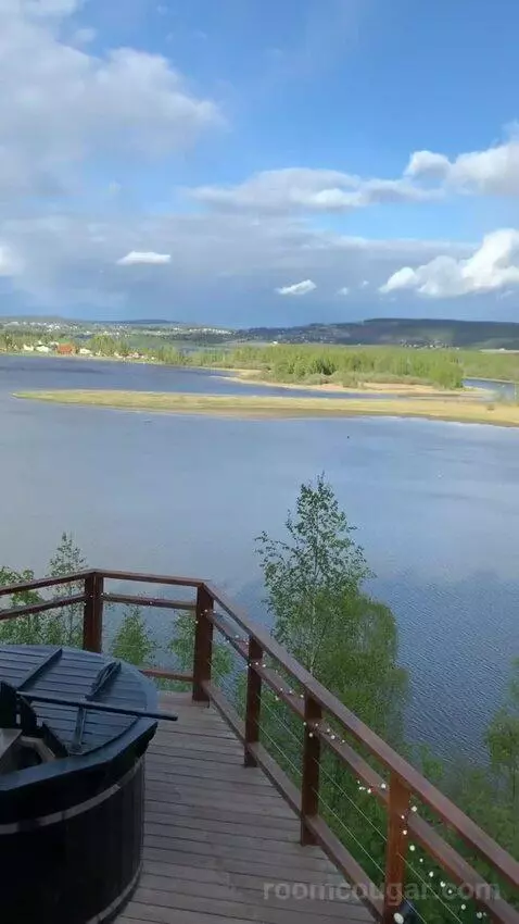 Standard view picture #11