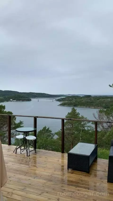 Standard view picture #11