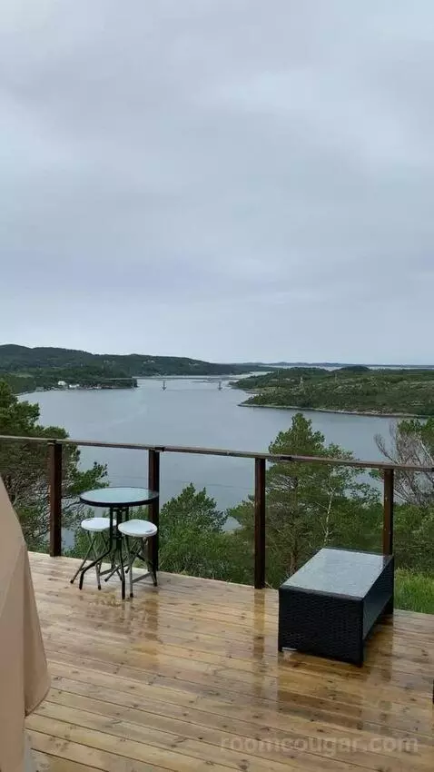 Standard view picture #12