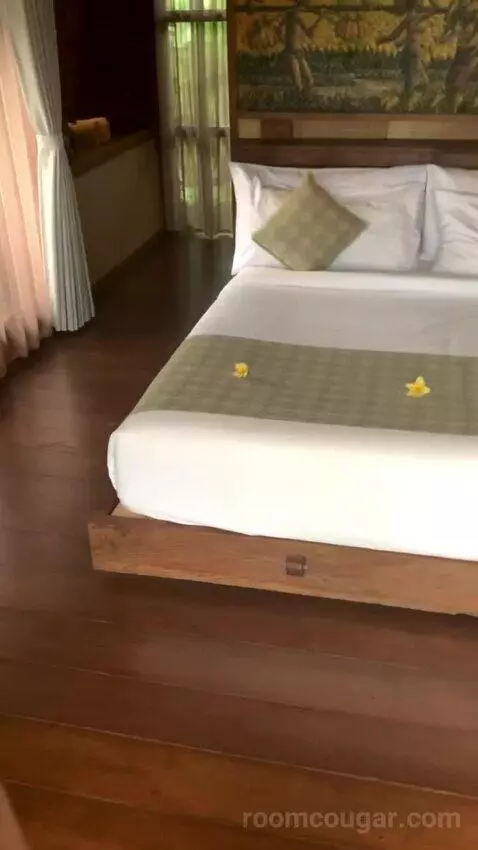 Duplex Suite bed picture #1
