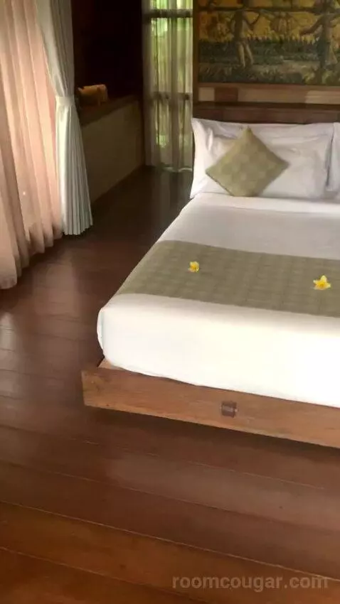 Duplex Suite bed picture #2