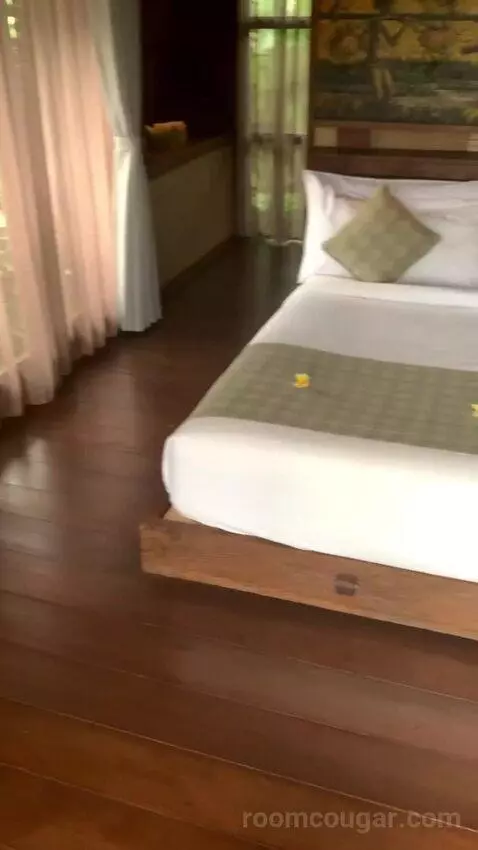 Duplex Suite bed picture #3