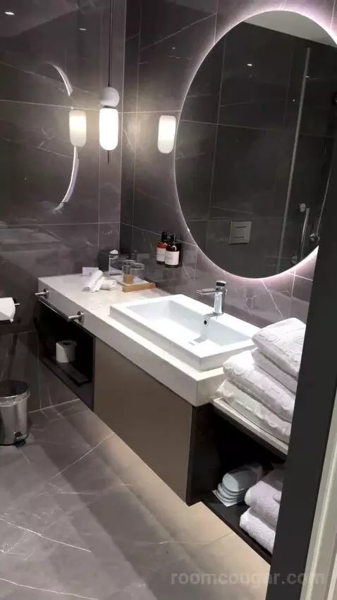Superior Double or Twin Room with City View bathroom picture #7