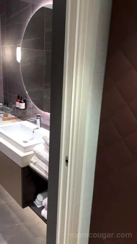 Superior Double or Twin Room with City View bathroom picture #4