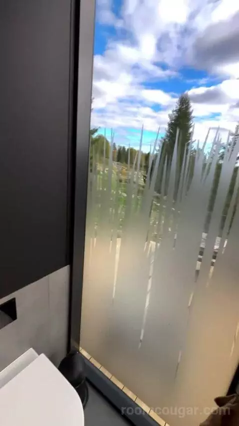 Suite (Glass Cabin) bathroom picture #9