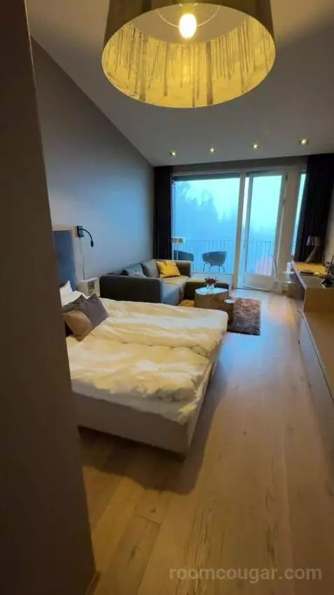 Superior Double Room (#704) picture #7