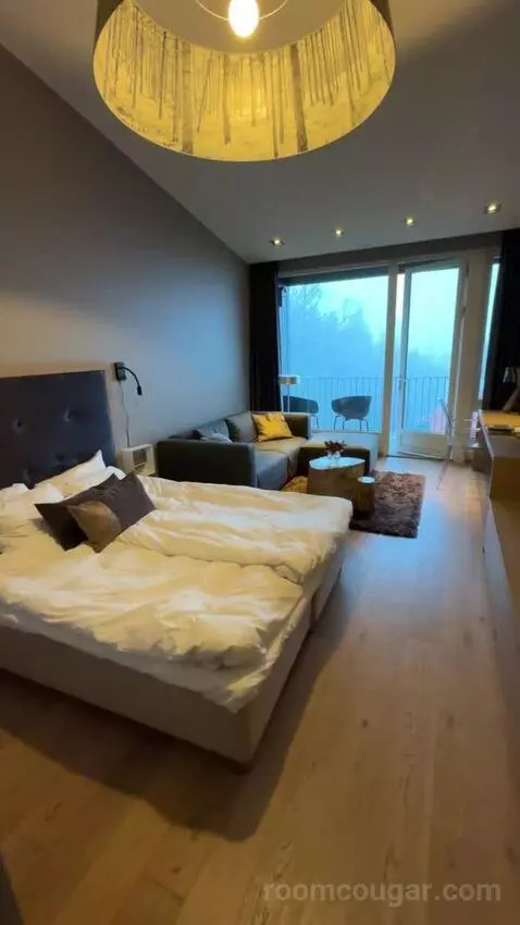 Superior Double Room (#704) picture #9