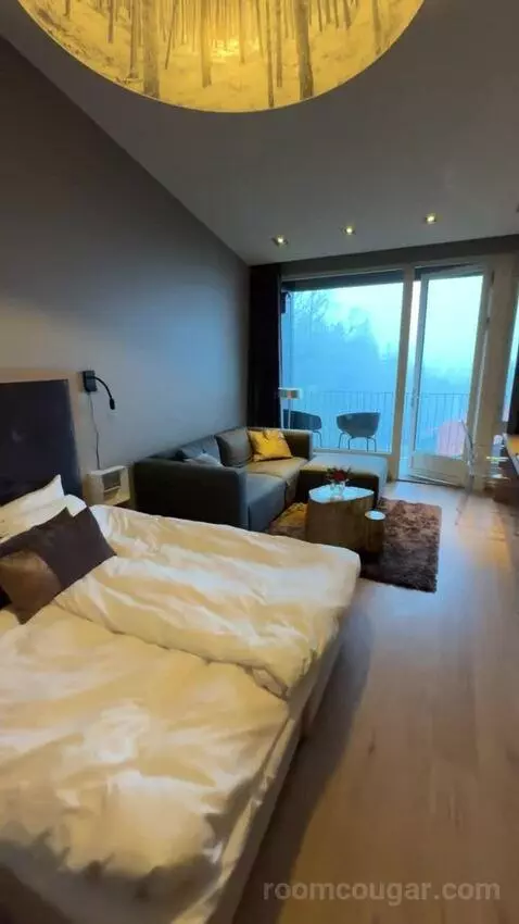 Superior Double Room (#704) picture #10