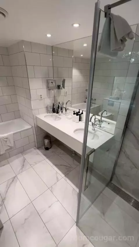 Junior Suite with View (#301) bathroom picture #5