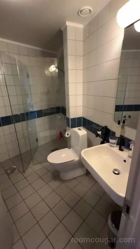 Suite (#401) bathroom picture #12