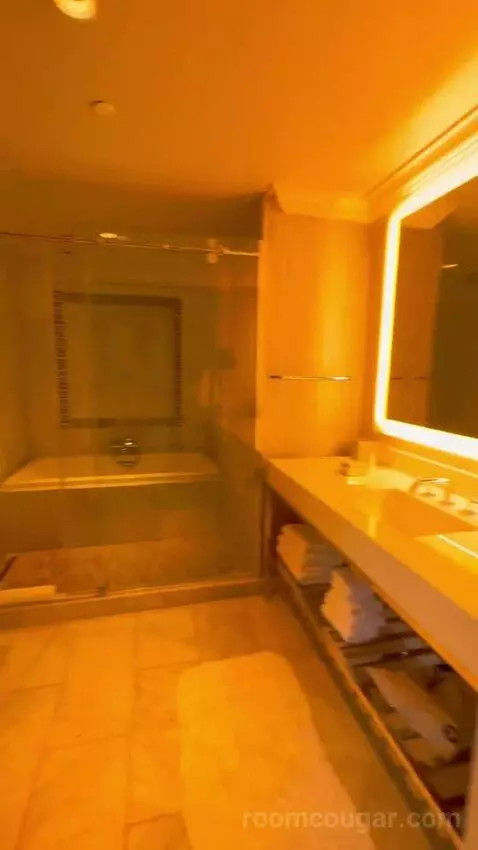 One Bedroom King Suite (#1701) bathroom picture #1