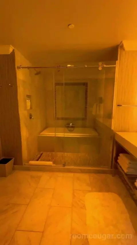 One Bedroom King Suite (#1701) bathroom picture #2