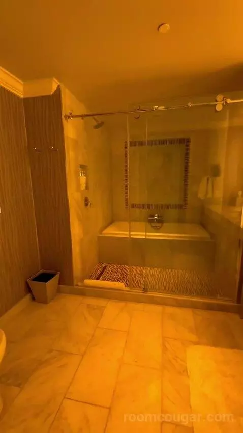 One Bedroom King Suite (#1701) bathroom picture #3