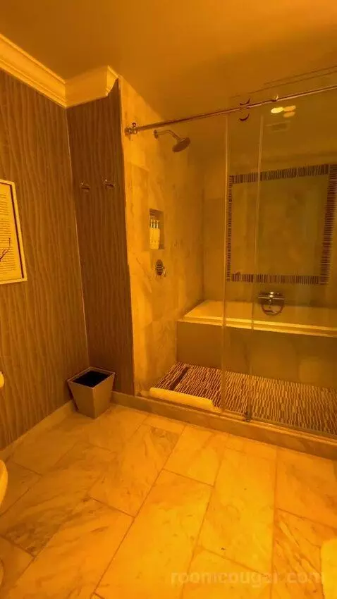 One Bedroom King Suite (#1701) bathroom picture #4