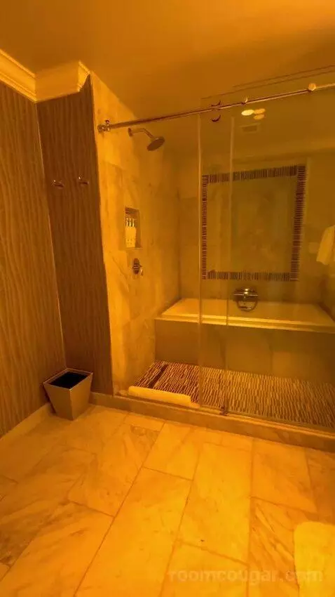 One Bedroom King Suite (#1701) bathroom picture #5
