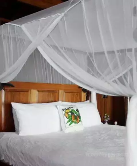 Hilltop Dream Suite with Heated Pool bed picture #1