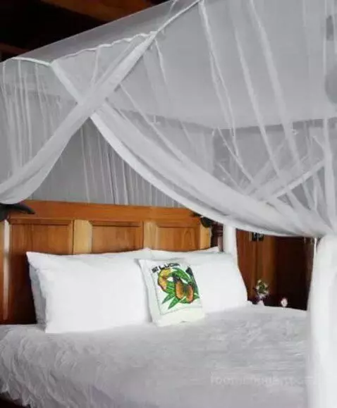 Hilltop Dream Suite with Heated Pool bed picture #2