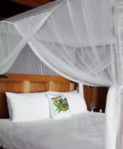 Hilltop Dream Suite with Heated Pool bed picture #7