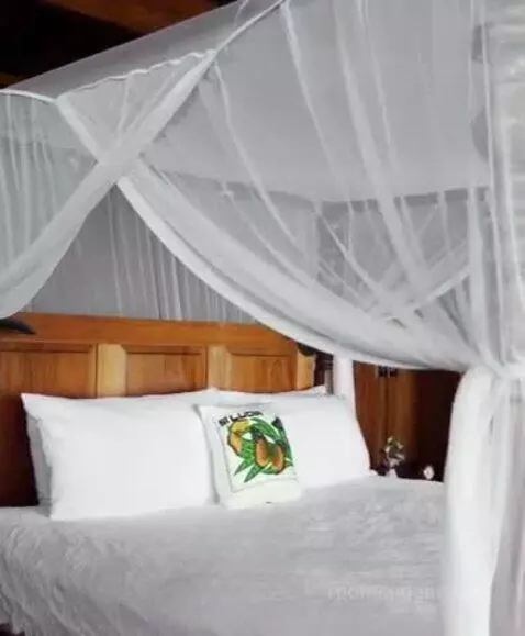 Hilltop Dream Suite with Heated Pool bed picture #8
