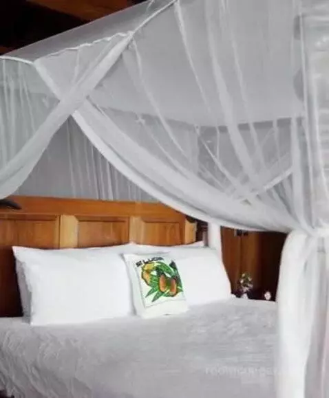 Hilltop Dream Suite with Heated Pool bed picture #9