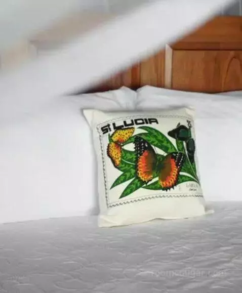 Hilltop Dream Suite with Heated Pool bed picture #12