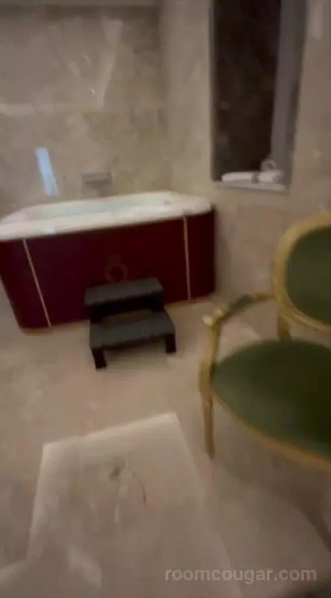 Presidential Suite bathroom picture #1