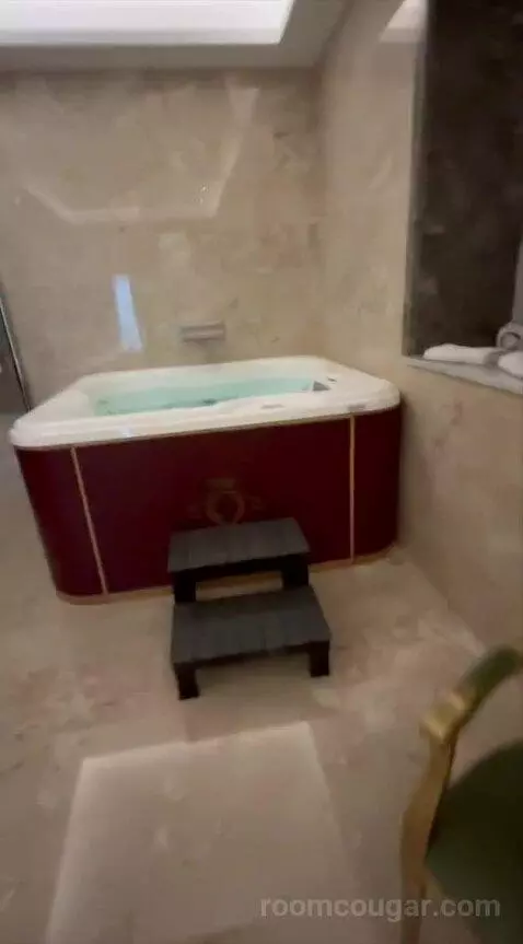 Presidential Suite bathroom picture #3