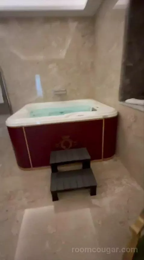 Presidential Suite bathroom picture #4