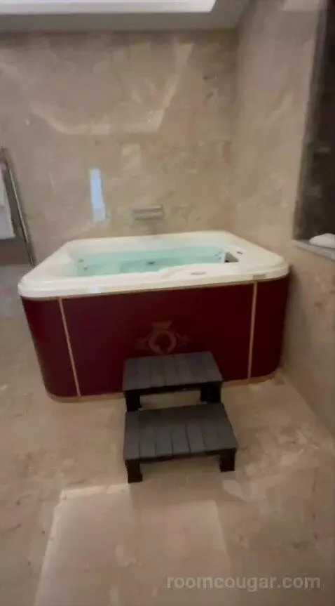Presidential Suite bathroom picture #5