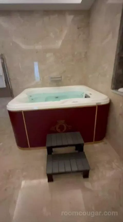 Presidential Suite bathroom picture #6