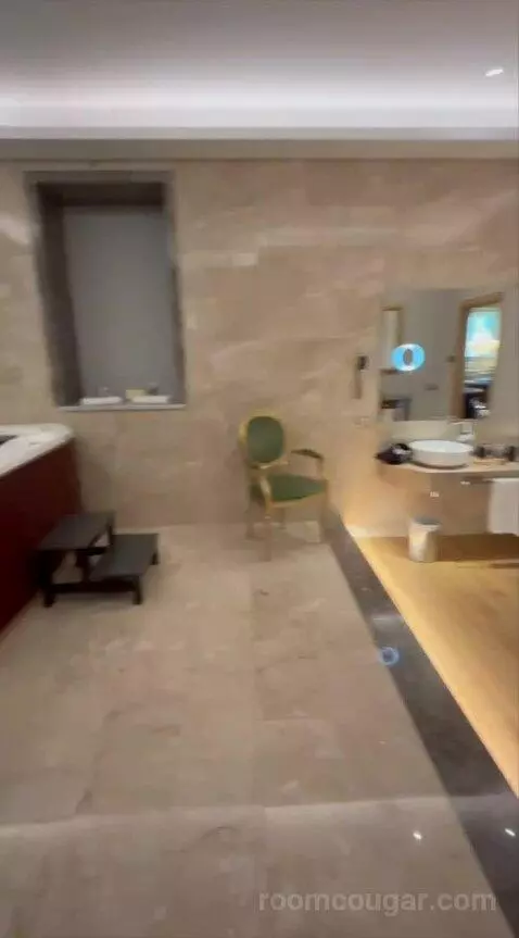 Presidential Suite bathroom picture #8